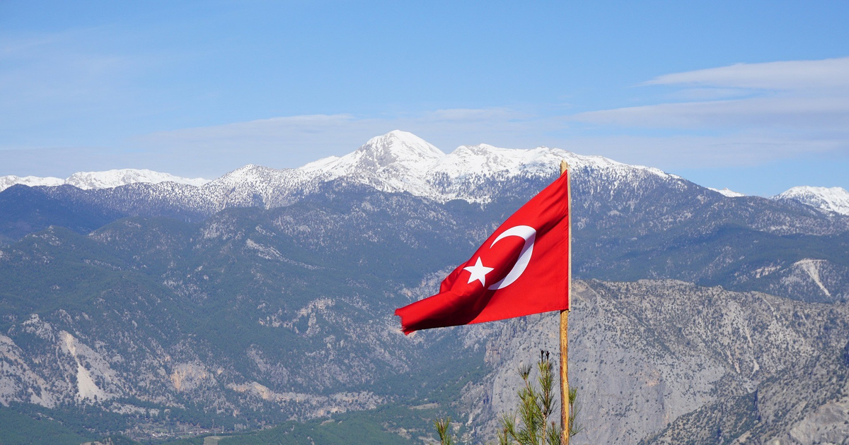 СМИ: Турция направит в Ливию восемь тысяч боевиков из сирийской оппозиции