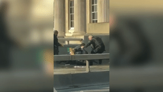 <p>Скотленд-Ярд опубликовал официальную информацию о ЧП на Лондонском мосту, 