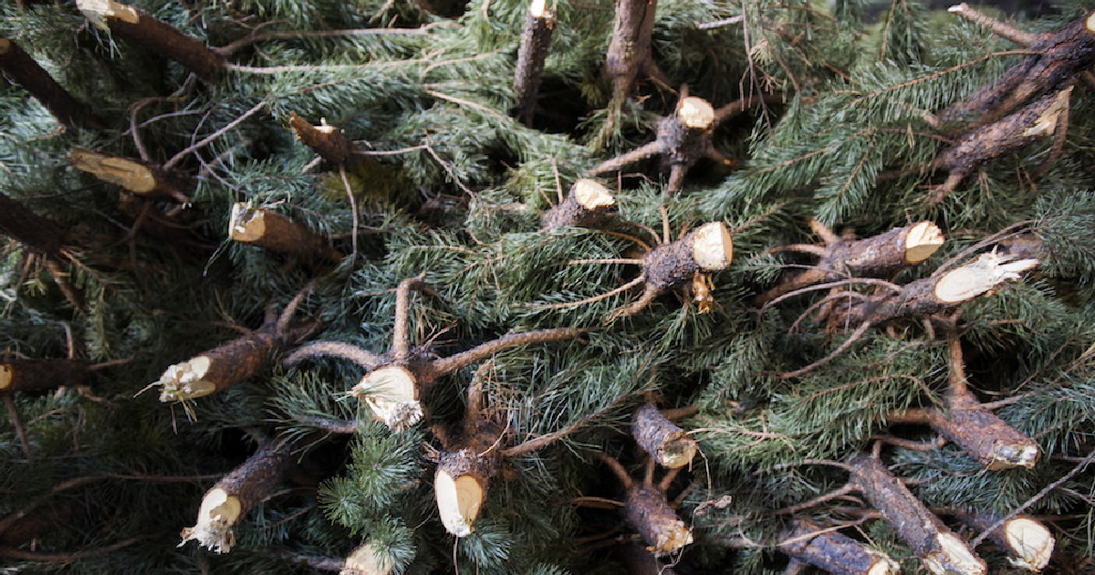 <p>В Кузбассе следователи возбудили уголовное дело против молодого человека,