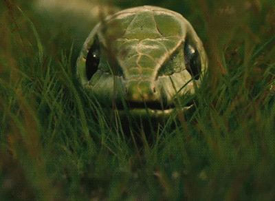 <p>Сотрудники аэропорта Йоханнесбурга отказались пустить в самолёт десятиле